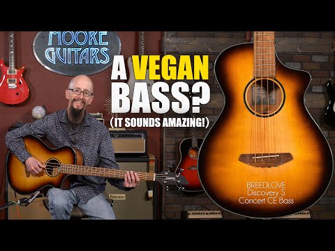 Little Guy with a Big Guitar! -  Breedlove Discovery S Concert CE Bass
