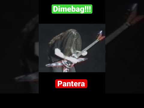 Pantera Cemetery Gates Live Solo
