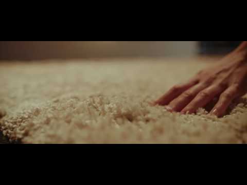 Видеообзор