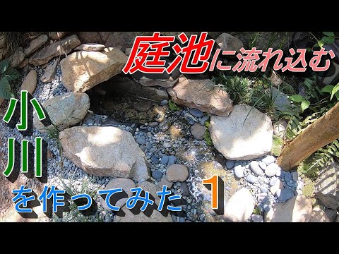 faire-bassin-de-jardin-banc-bois-plantes-vegetation-abondante