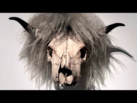 Pak Silvers - Rex Vult | Lyric Video