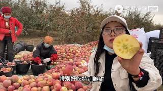 农村悦悦：新疆维族女人个个身怀绝技，连大妈都会跳舞，太棒了