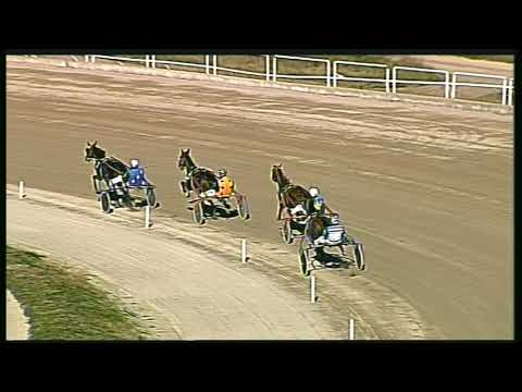 Trotto 16/02/2020 - prova di qualifica