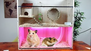 Hamster Ev Yapımı - Ahşap Hamster Kafesi ve Oyu