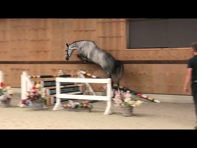 Jumping