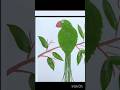 Trending Leaf Parrot Nice Drawing Like Subscribe Tredding Viralvideos Vlog To Chennai