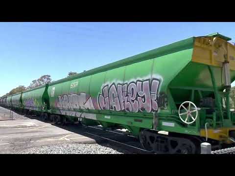 CLP12 Lead 4814 S303 C501 CLF4 on 3MC4.