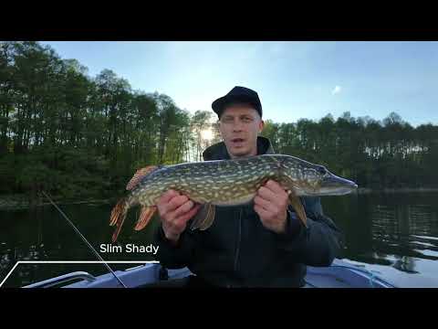 Przynęta Daiwa Prorex Slim Shady 16 cm ghost firetiger