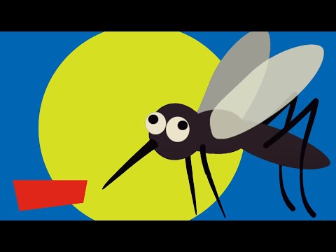 Educational Videos for Kids | 2021 | Fun Learning Videos for Kids | Did You Know? | Highlights Kids - Kingdom Kids Zone, Little Learners - Highlights Kids