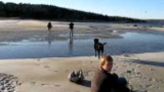 preview picture of video 'Funny, Carter's Beach, Nova Scotia, Icy cold crossing Jan 2011'