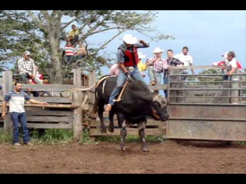 DIOGO MACHADO "CAÇAPA" vs CLONE Cia Ouro Fino