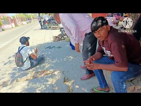 Jaipur Arya college road magic show @Advlog0338 #youtube #magic #magicchess