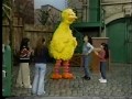 Sesame Street Havin A Ball