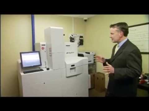 download lagu mp3 mp4 Passports In Birmingham Al, download lagu Passports In Birmingham Al gratis, unduh video klip Passports In Birmingham Al