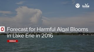 Forecast for Harmful Algal Blooms in Lake Erie in 2016