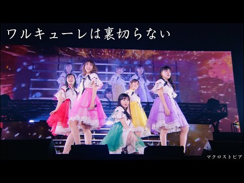 ワルキューレ - 『ワルキューレは裏切らない』ライブコンピレーション