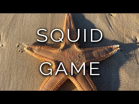 934-IT_PL INDAGINE, SQUID GAME - Ipnosi Esoterica ∞ Lucio Carsi