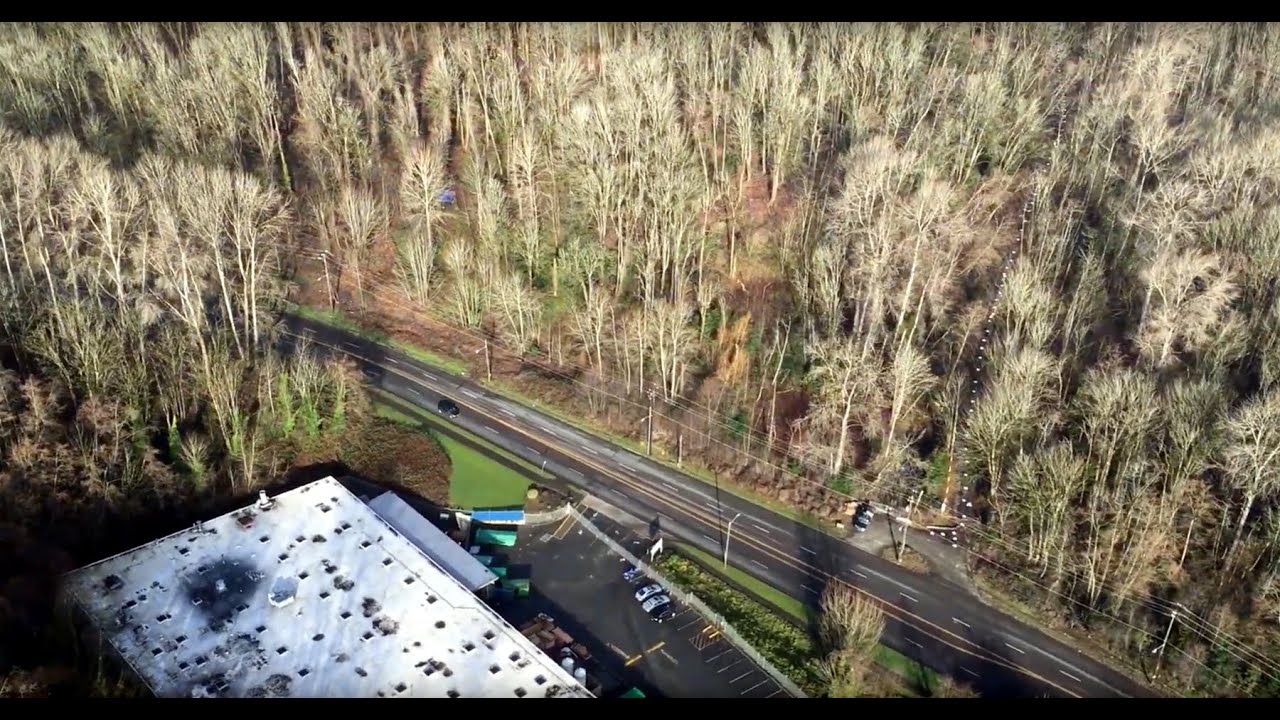 "Now & Then" video of the West Duwamish Greenbelt Trail
