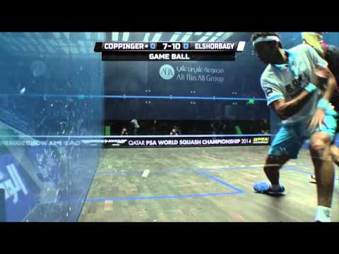 Squash: 2014 PSA World Championship Quarter-Finals Roundup Pt 2