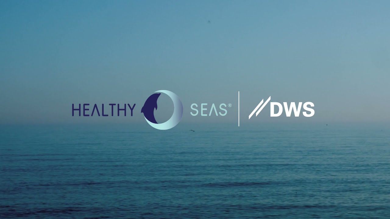 DWS × Healthy Seas — The MAKO Documentary Part I