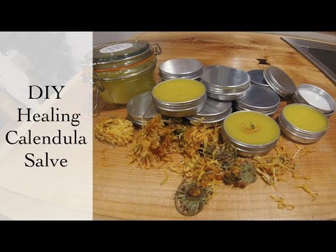 download lagu mp3 mp4 Healing Salve Recipe, download mp3 Healing Salve Recipe free downloadn, video klip Healing Salve Recipe