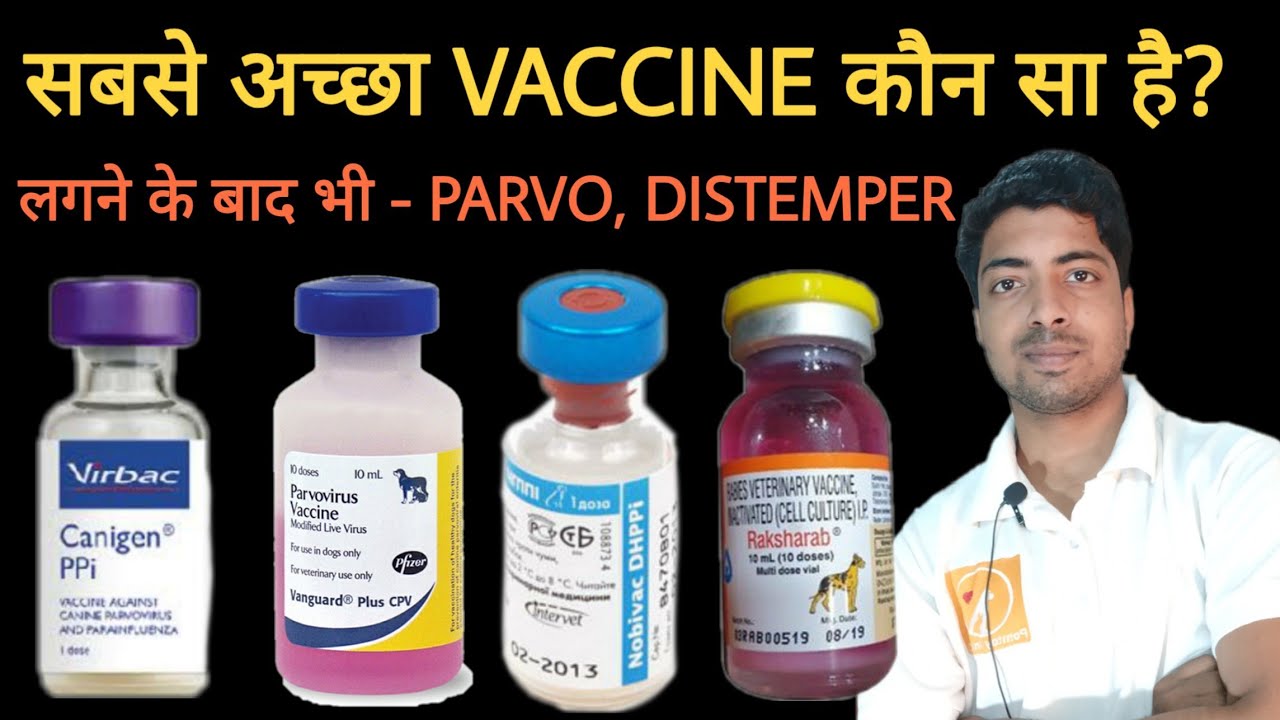 Best combined vaccine brand for dogs. Protect from PARVO and DISTEMPER