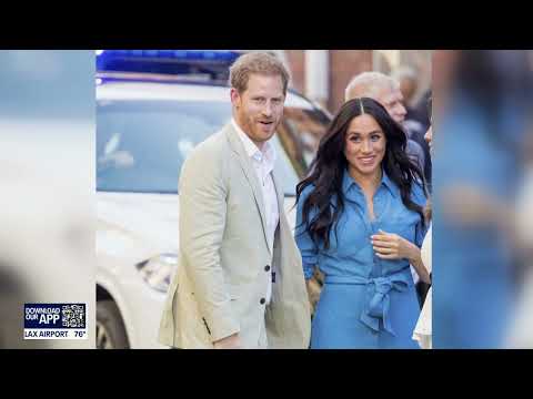 Prince Harry and Meghan rescue medical research beagle Mama Mia!