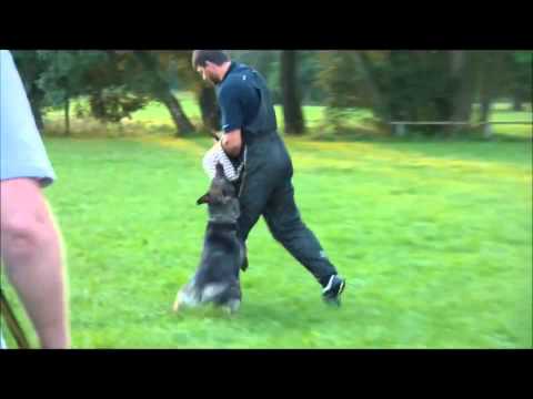 Trénink Luková  29 08 2011