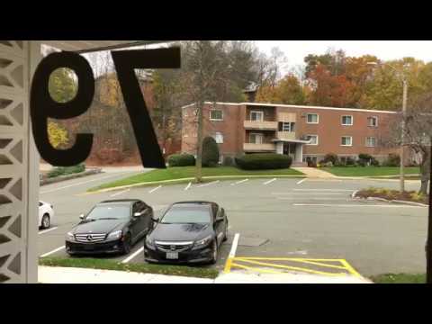 79 Lionel Avenue, #D, Waltham, MA