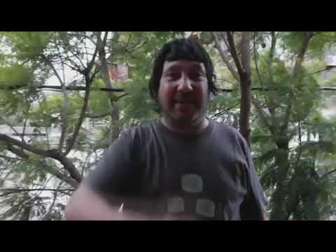 #cerebrosaludos10años - Mosca Dos Minutos