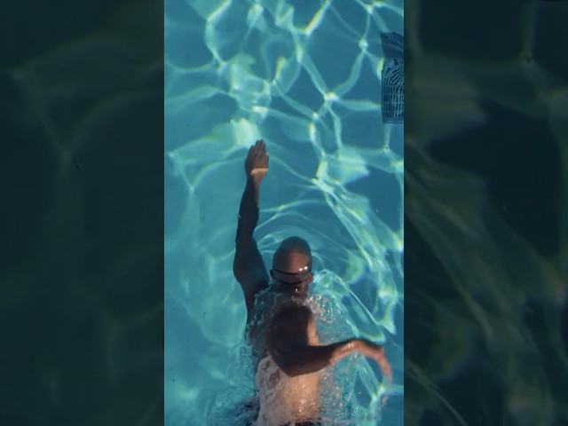 Keeping an eye on the neighbors.