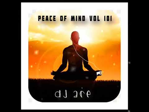 SLOW JAM MIX 2024 | 03 NOVEMBER | PEACE OF MIND VOL 101 | DJ Ace ♠️
