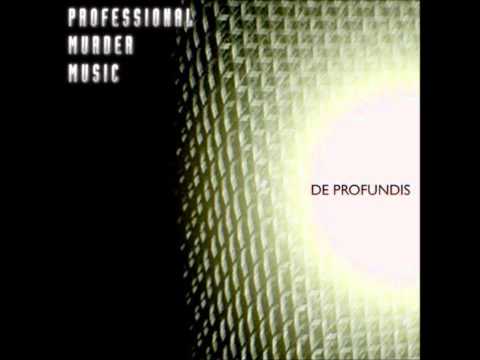 Professional Murder Music - One (U2 Cover)