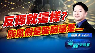 中東又來亂，下週恐慌殺盤的話該怎麼做!?｜海豚交易室｜范振鴻 (圖)