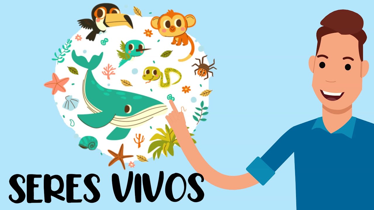 RESUMO - CARACTERÍSTICAS GERAIS DOS SERES VIVOS