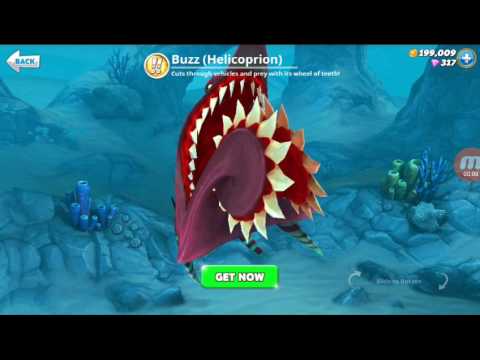 Buzz the helicoprion Showcase