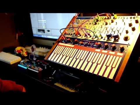 wave time - buchla music easel jam
