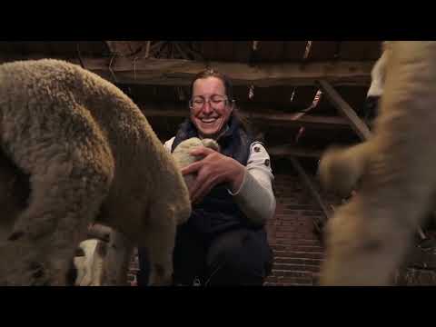 Agro karavan ep.176 - Bor - 16.05.2021.