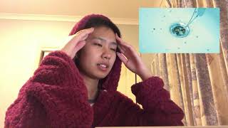 BTS FAKE LOVE chill reaction lolz //