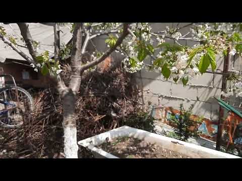 23.04.2023 Trușeni, Chisinau, Moldova.