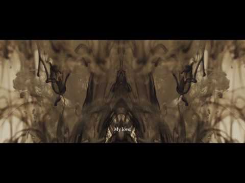 Video thumbnail for Inhabit the Wound