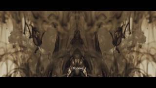Inhabit the Wound Music Video