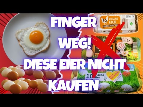 Kaufst du diese Eier? 10 Eier-Marken, die du Sofort meiden solltest