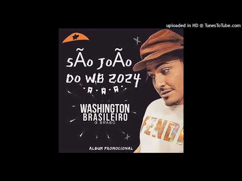 Washington Brasileiro - Ainda Tem Amor