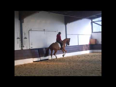 VIDAL 6j. v. Vivaldi - Grundstein VB 10.000,- Euro