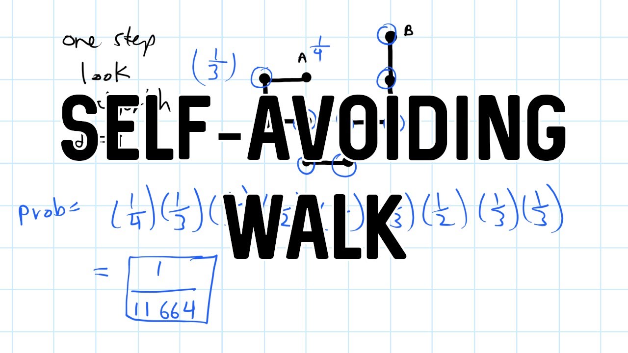 Self-Avoiding Walk | Basics and Probability