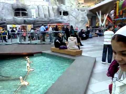 tigani la nol strehaia