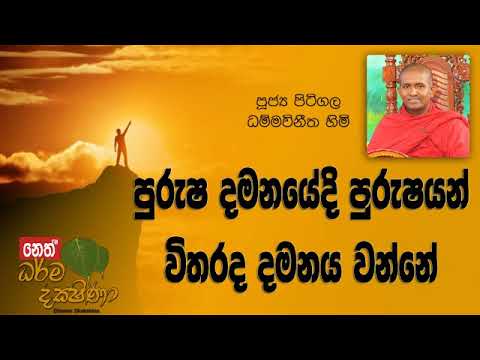 Darma Dakshina 2019.02.20 - Pitigala Dammawinitha Himi
