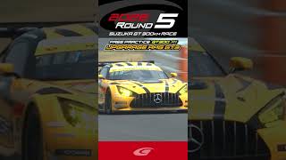 FREE PRACTICE  GT300  P1 UPGARAGE AMG GT3