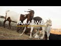 Kabza De Small & Mthunzi - Amazwe feat. MaWhoo (Official Music Video) Kabza De Small & Mthunzi - Amazwe feat. MaWhoo (Official Music Video)